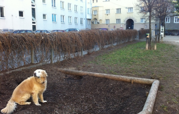 Hundezone-Lichtentalerpark