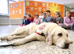 Samariter-Hunde-Teams in Volksschulen