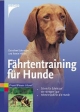 Fährtentraining für Hunde