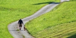 Mensch mit Hund beim Spazierengehen