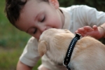 Hunde und Kinder können die besten Freunde werden. © Foto: Karakus / pixelio.de