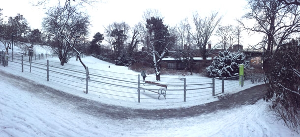 Hunde-zone-wertheimsteinpark-kl