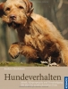 Hundeverhalten: Mimik, Körpersprache und Verständigung