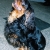 Hunderassen King Charles Spaniel