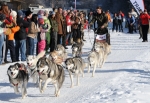 Schlittenhunderennen