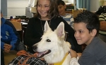 Hunde in der Schule