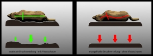 Druckverteilung mit und ohne Viscoschaum